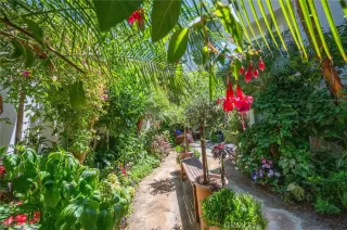 Photo #2: OC25174262 Listing