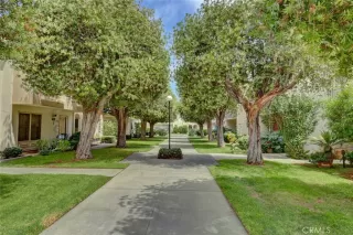 Photo #3: OC25181793 Listing 