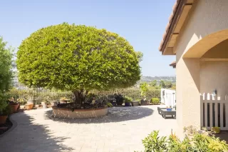 Photo #6: OC25215971 Listing