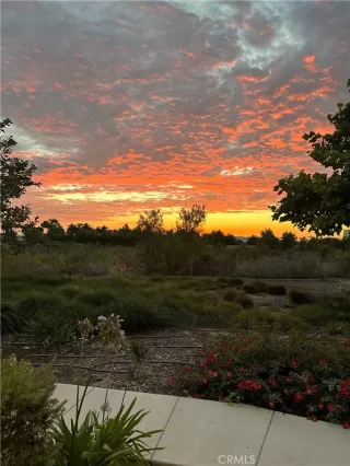 Photo #3: OC25225116 Listing 