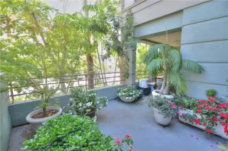 Photo #1: OC25227328 Listing 