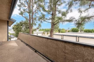 Photo #2: OC25228517 Listing 