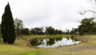 Photo #4: OC25233188 Listing