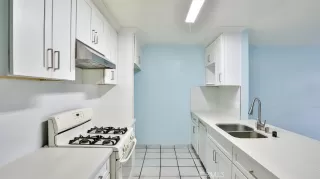 Photo #4: OC25239737 Listing