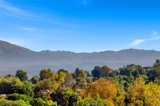 Photo #6: OC25242783 Listing