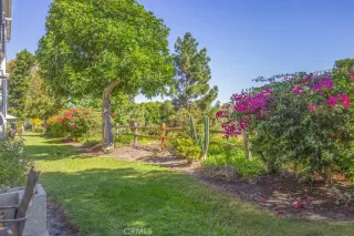 Photo #6: OC25242808 Listing