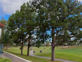 Photo #6: OC25244293 Listing 