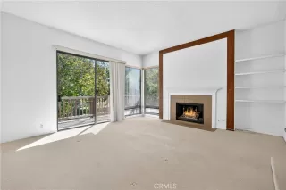 Photo #4: OC25250186 Listing