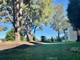 Photo #3: OC25251355 Listing 