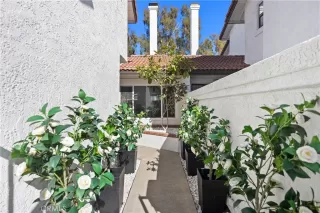 Photo #3: OC25252383 Listing 