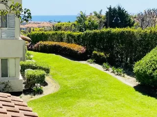 Photo #1: OC25253934 Listing 