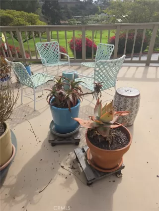 Photo #1: OC25262127 Listing