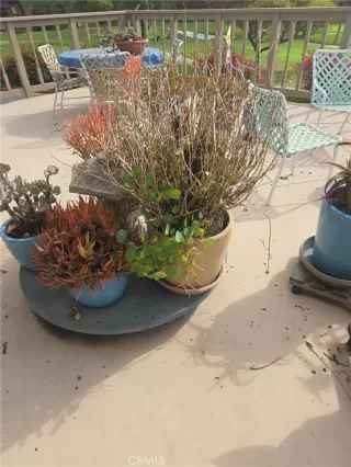 Photo #2: OC25262127 Listing