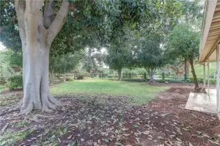 Photo #5: OC25262630 Listing