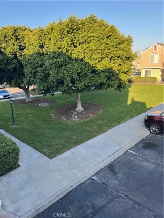 Photo #2: OC25276207 Listing