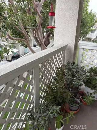 Photo #6: OC26002146 Listing 