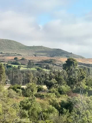 Photo #2: OC26006346 Listing