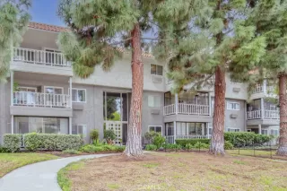 Photo #1: OC26006689 Listing 