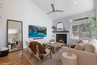 Photo #1: OC26022548 Listing