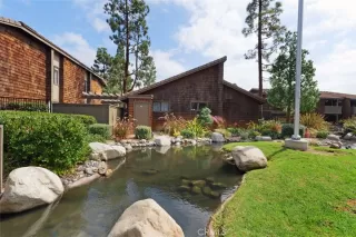 Photo #1: OC26026867 Listing