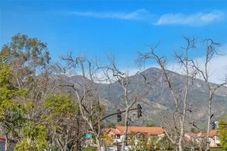 Photo #3: OC26039333 Listing