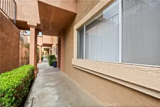 Photo #1: OC26047740 Listing 