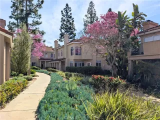 Photo #1: OC26049002 Listing 