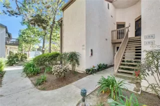 Photo #5: OC26049952 Listing 