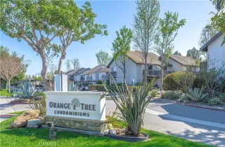 Photo #1: OC26053239 Listing 