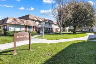 Photo #1: OC26053966 Listing