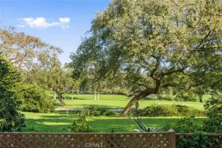 Photo #1: OC26054528 Listing 