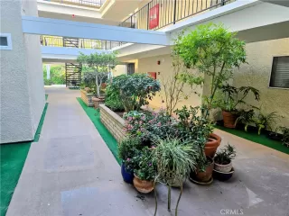 Photo #6: OC26055323 Listing 