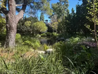 Photo #1: OC26055684 Listing