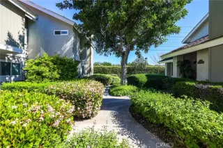 Photo #1: OC26056761 Listing 