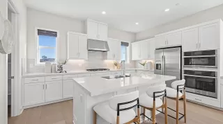 Photo #1: OC26057290 Listing