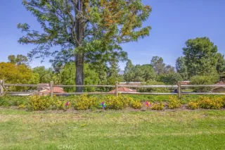 Photo #5: OC26058869 Listing 