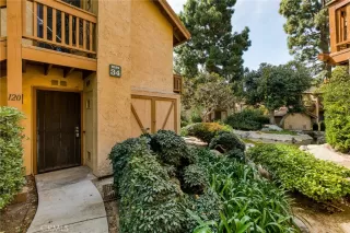 Photo #1: OC26059058 Listing 