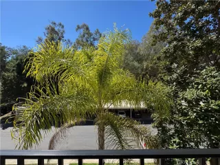 Photo #3: OC26060397 Listing