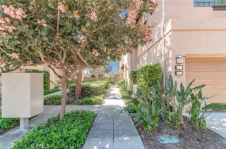 Photo #1: OC26061511 Listing