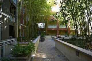 Photo #2: OC26061724 Listing 