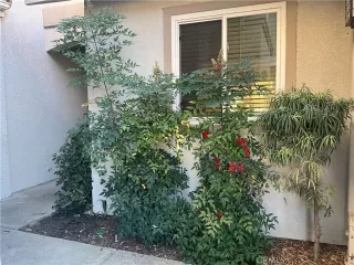 Photo #1: OC26063077 Listing 