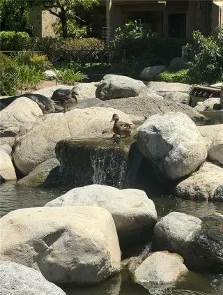 Photo #2: OC26063253 Listing 