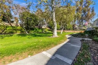 Photo #1: OC26064098 Listing 