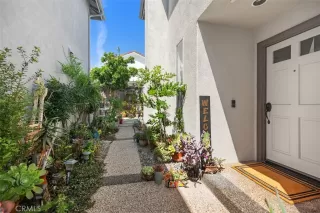 Photo #1: OC26067185 Listing 