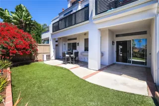 Browse active condo listings in MIRADOR