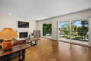 Photo #5: OC26070078 Listing