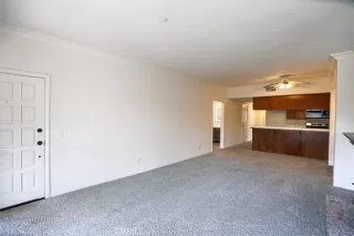 Photo #5: OC26071396 Listing 