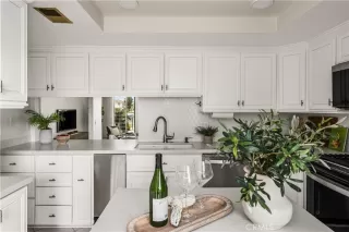 Photo #4: OC26072661 Listing