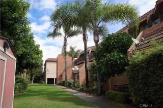 Photo #1: OC26078656 Listing 