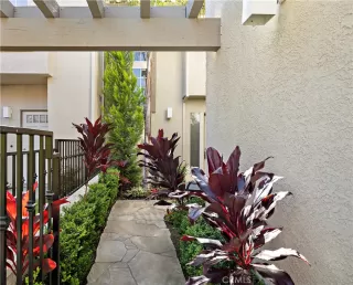 Photo #1: OC26089891 Listing